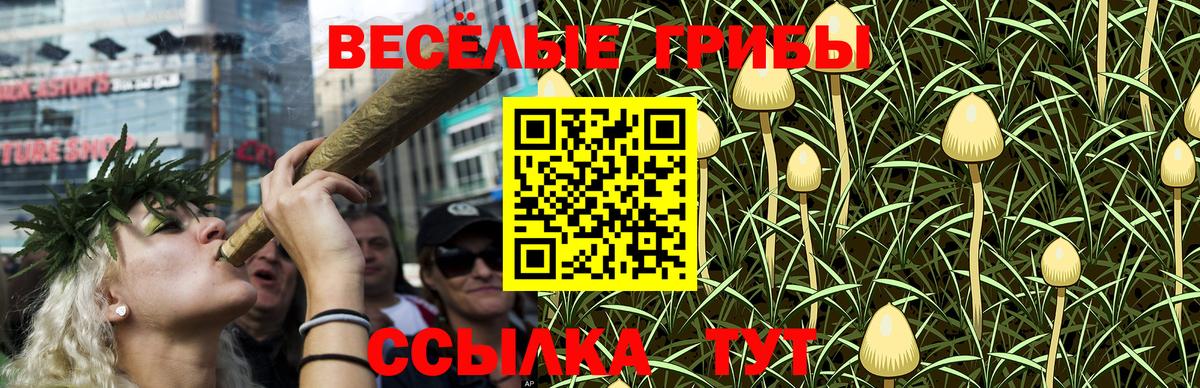 Галлюциногенные грибы мицелий  Вход с VPN  Ярцево 